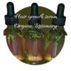 Empress Divina Rosemary & Vitamin E Hair Growth Serum