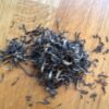 Cultivate Taste Tea Jin Jun Mei Black Tea - 1 Ounce - Image 4