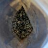 Cultivate Taste Tea Organic High Mountain Jade Oolong - 1 Ounce - Image 6