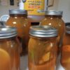 Amber O’Dell Organic Fire Cider