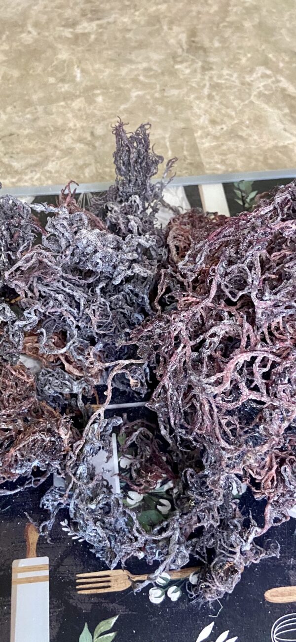 Mother Earth Dried Purple Sea Moss - Image 7