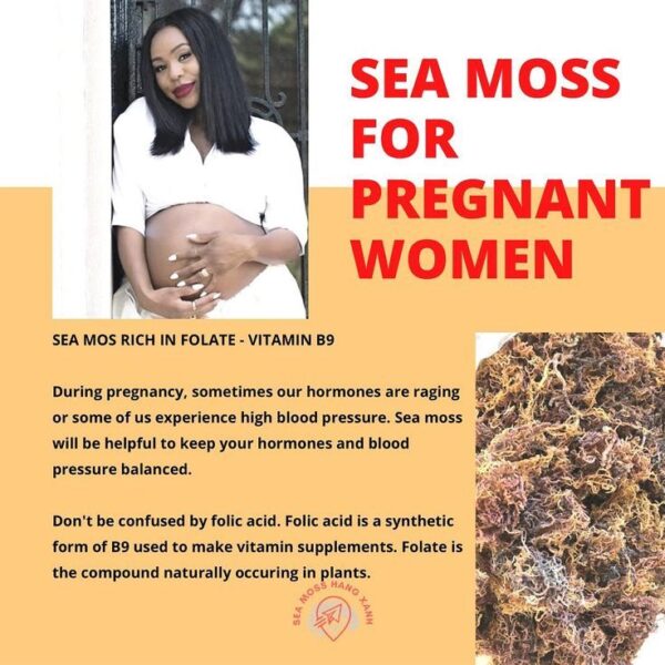 Mother Earth Dried Gold Sea Moss - Image 7