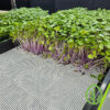 On The Grow Reusable Grow Medium - Size: 10x20 - Image 8