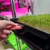 On The Grow Microgreen Tray Clip Labelers - 10 pack - Image 6