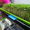 On The Grow Microgreen Tray Clip Labelers - 10 pack - Image 27