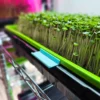 On The Grow Microgreen Tray Clip Labelers - 10 pack - Image 29