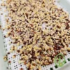 On The Grow Reusable Grow Medium - Size: Small Sprout Tray - Image 12