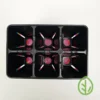 On The Grow 6 Cell Plug Tray Inserts - Multi-Color Pack - Bootstrap Farmer - Image 4