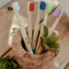 Zefiro Bamboo Toothbrush - Kids - Four Pack - Image 5