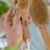 Zefiro Dry Brush Set - Image 4