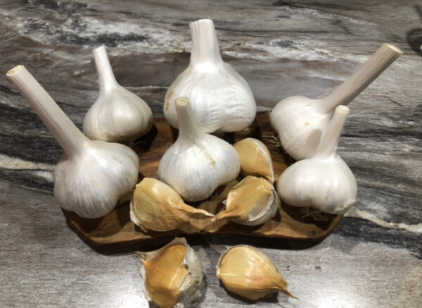 Simple Health Organic Elephant Garlic