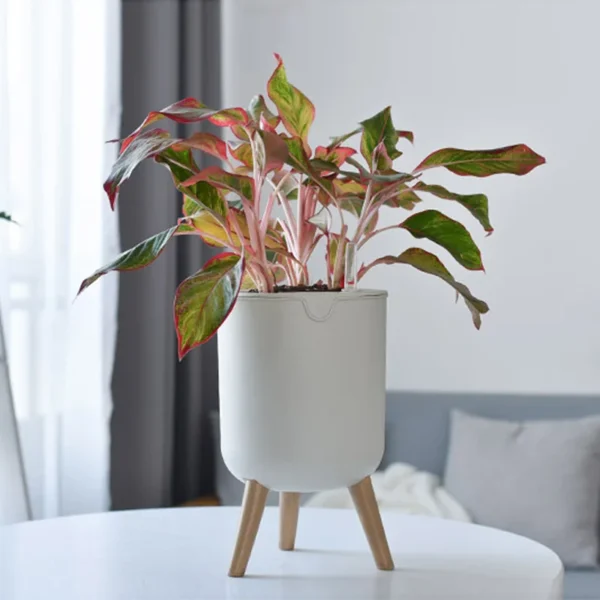 Indoor Decoration Balcony Pots Automatic Watering Bonsai Self Watering Plant Flower Pot With Wood Leg Stand