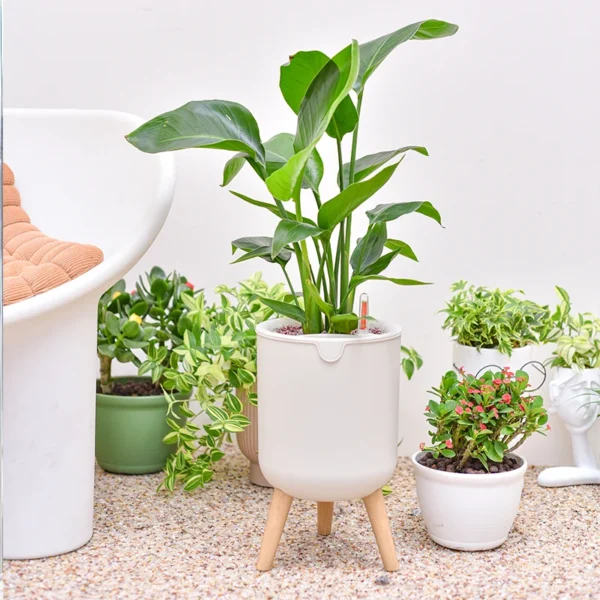 Indoor Decoration Balcony Pots Automatic Watering Bonsai Self Watering Plant Flower Pot With Wood Leg Stand